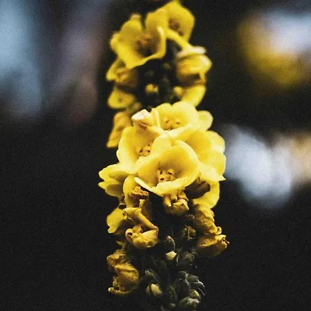 La Grotte Bed and breakfast