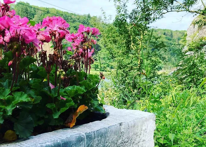 Couette-café La Grotte 3*